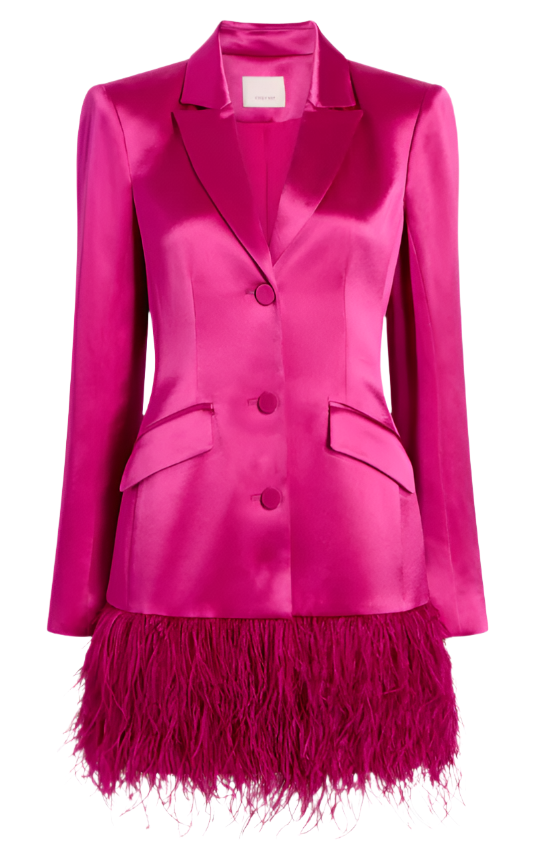 Cinq a Sept Long Sleeve Feather Joel Dress