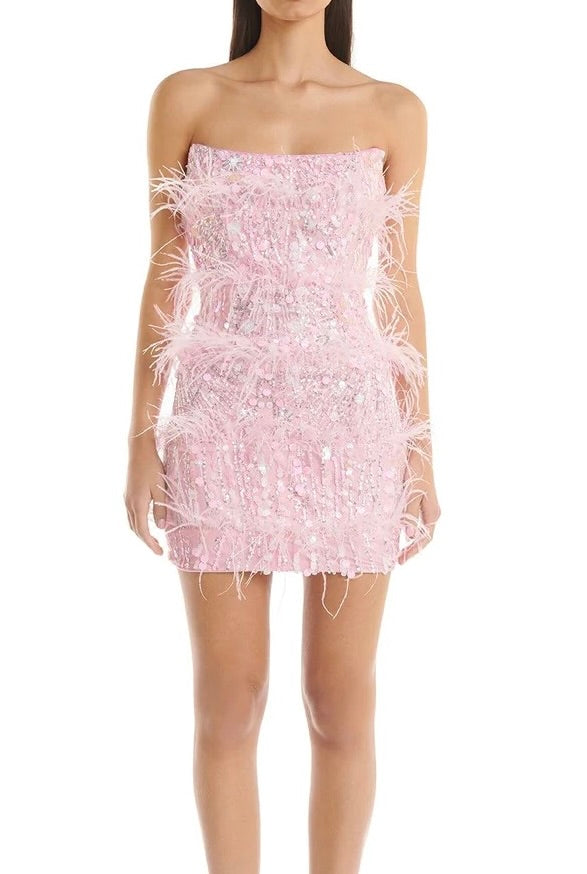 Pink Bead & Feather Tiffany Dress