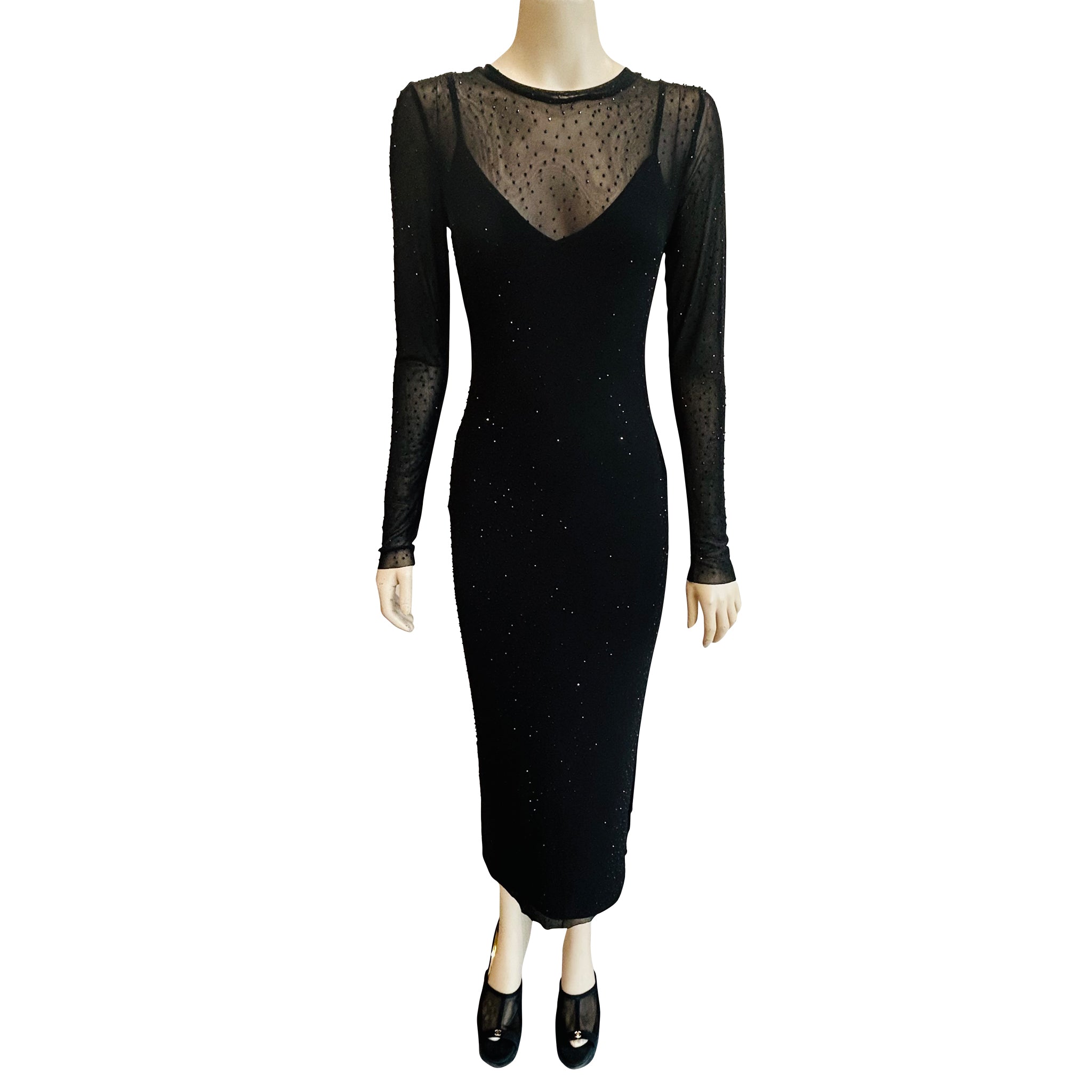 Sheer Long Sleeve Maxi Dress
